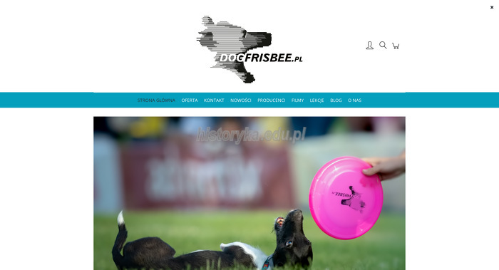 dogfrisbee-pl